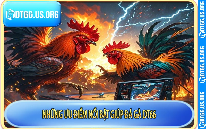 Những ưu điểm nổi bật giúp đá gà DT66