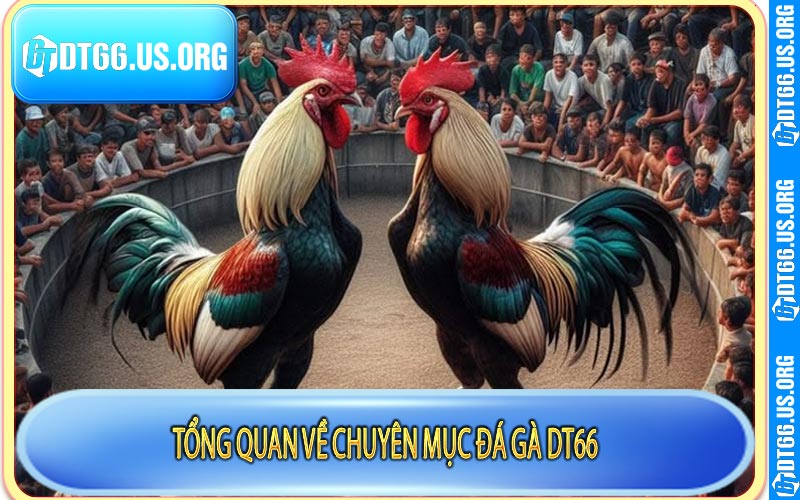 Tổng quan về chuyên mục đá gà DT66